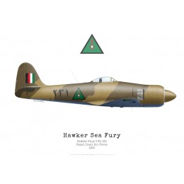 Hawker Fury I, n°132, Royal Iraqi Air Force, 1952