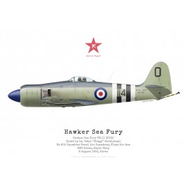 Sea Fury FB.11, Lt "Hoagy" Carmichael, No 802 NAS, Korea, 8 August 1952