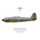 Hawker Sea Fury FB.11 G-CBEL aux couleurs du prototype Sea Fury SR661
