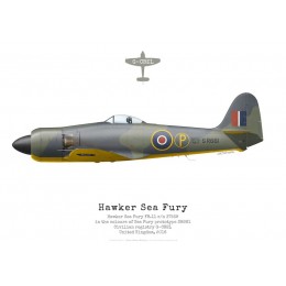 Hawker Sea Fury FB.11 G-CBEL painted as Sea Fury prototype SR661