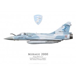 Mirage 2000-5F n°47, EC 1/2 "Cigognes", BA 102 Dijon-Longvic