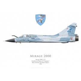 Mirage 2000C n°14, EC 1/2 "Cigognes", BA 102 Dijon-Longvic, 1986