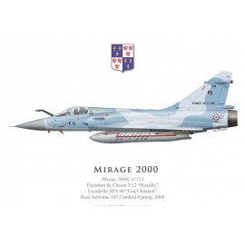 Mirage 2000C n°114, EC 2/12 “Picardie”, Base Aérienne 103 Cambrai-Epinoy, 2008 