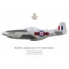 P-51D Mustang, NZ2417, No 3 (Canterbury) Squadron, Royal New Zealand Air Force