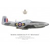 P-51D Mustang, NZ2429, No 4 Squadron, Royal New Zealand Air Force