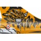 Mirage 2000C No 80, EC 1/12 "Cambrésis", Tiger Meet 2010, BA 103 Cambrai-Epinoy