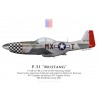 P-51D Mustang "Heavenly Body", Lt Lawrence Nelson & Lt Walter Bourque, 82nd Fighter Squadron, 78th Fighter Group, 1945