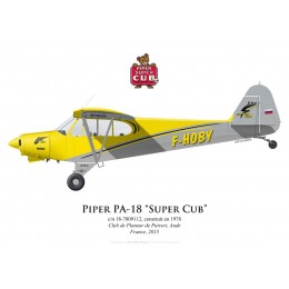 Piper PA-18 Super Cub F-HOBY