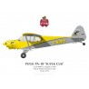 Piper PA-18 Super Cub F-HOBY