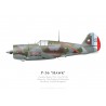 Hawk 75A-1, G-CCVH, The Fighter Collection, Duxford