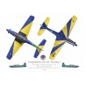 T-27 Tucano, Esquadrilha da Fumaça demonstration team, Força Aérea Brasileira