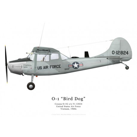 O-1G, US Air Force, Vietnam, années 1960 Bravo Bravo Aviation