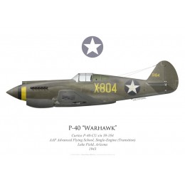 P-40-CU Warhawk, AAF Advanced Flying School, Single-Engine (Transition), Luke Field, 1943