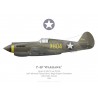 P-40-CU Warhawk, AAF Advanced Flying School, Single-Engine (Transition), Luke Field, 1943