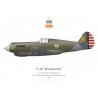 P-40-CU Warhawk, 55th Pursuit Squadron, 20th Pursuit Group, 1941