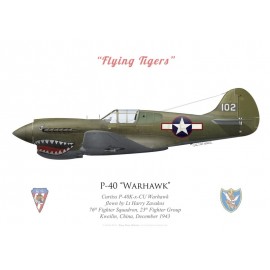 P-40K Warhawk, 76th Fighter Squadron, 23rd Fighter Group, China, 1943