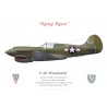 P-40K Warhawk, 76th Fighter Squadron, 23rd Fighter Group, Chine, 1943