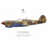 P-40M Warhawk, NX40DF, Comanche Fighters