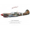 P-40M "The Jacky C II", NX123N, American Airpower Museum