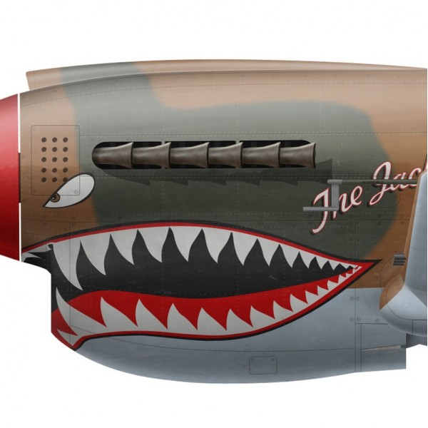 Print P-40M Warhawk "The Jacky C" warbird American Airpower Museum by G.Marie 