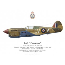 Kittyhawk Mk II, S/L "Bobby" Gibbes, No 3 Squadron RAAF, Tunisie, 1943