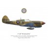 P-40L / Kittyhawk Mk II, No 239 Wing Training Flight, Italie, 1943