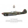 P-40F / Kittyhawk Mk II, S/L Brian Eaton, commandant du No 3 Squadron RAAF, Italie, 1943