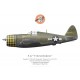 Print of the Republic P-47D Thunderbolt 42-22472 "Shamrock", Lt Gerald Devine, 5th Emergency Rescue Squadron, 1944