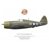 P-47D Thunderbolt "Shamrock", Lt Gerald Devine, 5th Emergency Rescue Squadron, 1944