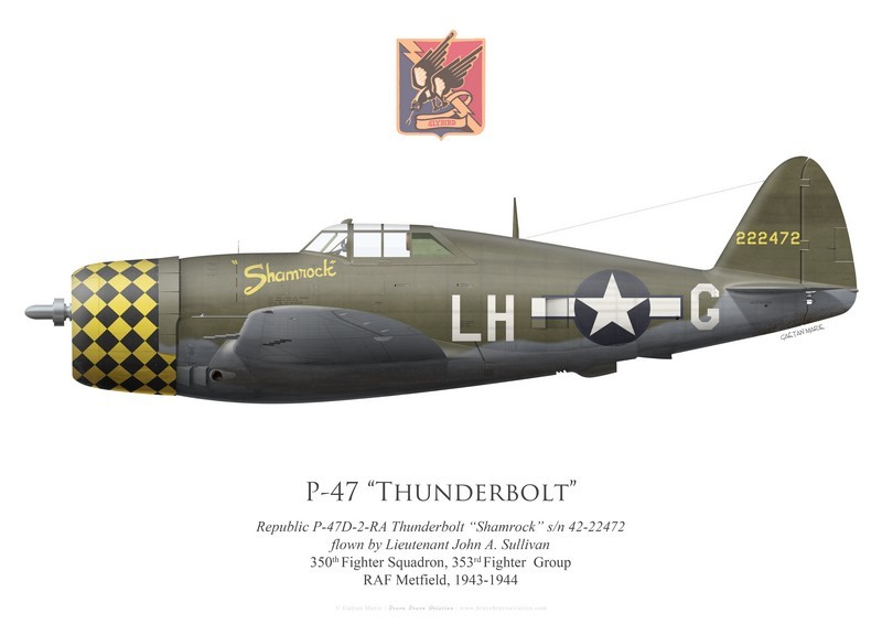 print-of-the-p-47d-thunderbolt-shamrock-