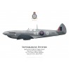 Spitfire Mk VII "Spirit of Kent", S/L James O'Meara, No 131 (County of Kent) Squadron, Royal Air Force, mars 1944