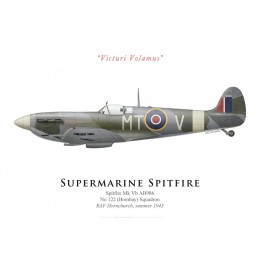 Supermarine Spitfire Mk Vb AB986, No 122 Squadron, RAF Hornchurch, summer 1943