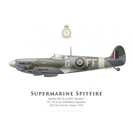 Spitfire Mk Vb 