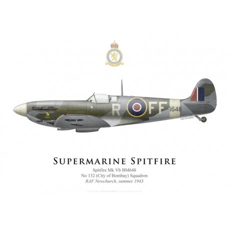 Supermarine Spitfire Mk Vb BM648, No 132 Squadron, RAF Newchurch, summer 1943