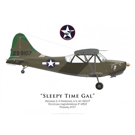 L-5 Sentinel "Sleepy Time Gal", F-AYLV, 2017