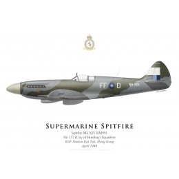 Supermarine Spitfire Mk XIV RM991, No 132 (City of Bombay) Squadron, RAF Station Kai Tak, April 1946