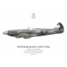 Spitfire Mk XIV, No 132 (City of Bombay) Squadron, RAF Station Kai Tak, April 1946