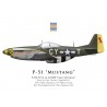 P-51D Mustang "Cape Cod Express", Capt. Chester Coggeshall Jr., 343rd Fighter Squadron, 55th Fighter Group, 1944