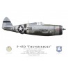 P-47D Thunderbolt "Lethal Liz II", 2Lt. Arthur Davis, 81st S, 50th FG, Carentan, France, 1944