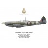 Spitfire Mk VII, F/L Jack Cleland, No 616 (South Yorkshire) Squadron, Royal Air Force, May 1944
