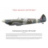 Spitfire TR9 ML407, "The Grace Spitfire", juillet 2017