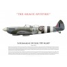 Spitfire TR9 ML407, "The Grace Spitfire", June 2019