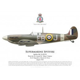 Spitfire Mk Vb, S/L Lionel Gaunce, No 41 Squadron, Royal Air Force, August 1941