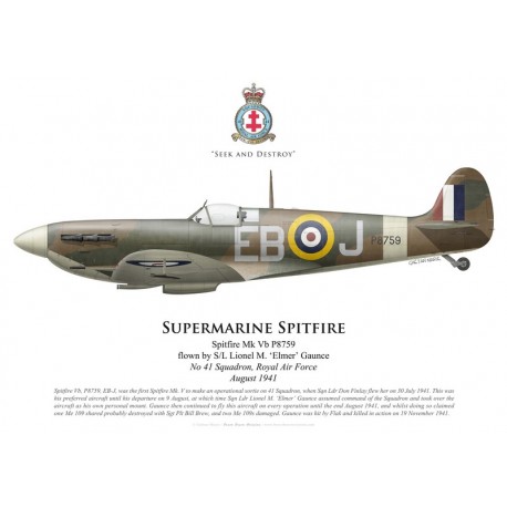 Spitfire Mk Vb, S/L Lionel Gaunce, No 41 Squadron, Royal Air Force, août 1941