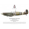 Spitfire Mk Vb, S/L Lionel Gaunce, No 41 Squadron, Royal Air Force, août 1941