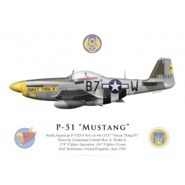 P-51D Mustang "Sweet Thing IV", Lt. Col. Roy Webb Jr., 361st Fighter Group, 374th Fighter Squadron, 1944