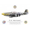P-51D Mustang "Sweet Thing IV", Lt. Col. Roy Webb Jr., 361st Fighter Group, 374th Fighter Squadron, 1944