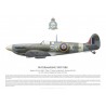 Spitfire Mk Vb AB921, Sgt Ben Scaman, No 165 (Ceylon) Squadron, Royal Air Force, mai 1943