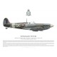 Supermarine Spitfire Mk Vb BM515, F/L Arthur Roscoe, No 165 (Ceylon) Squadron, Royal Air Force, May 1943
