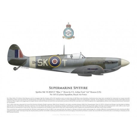 Supermarine Spitfire Mk Vb BM515, F/L Arthur Roscoe, No 165 (Ceylon) Squadron, Royal Air Force, mai 1943